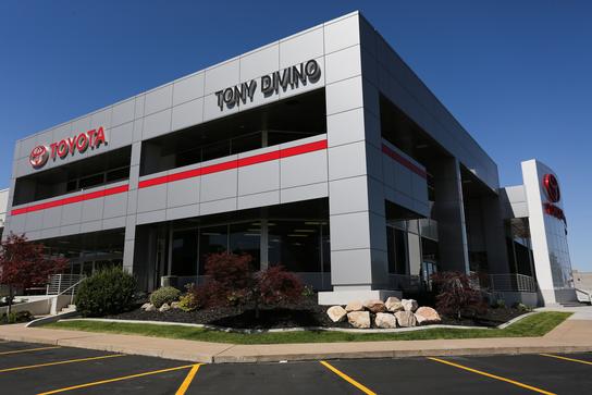 Tony Divino Toyota