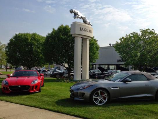 Jaguar of Troy
