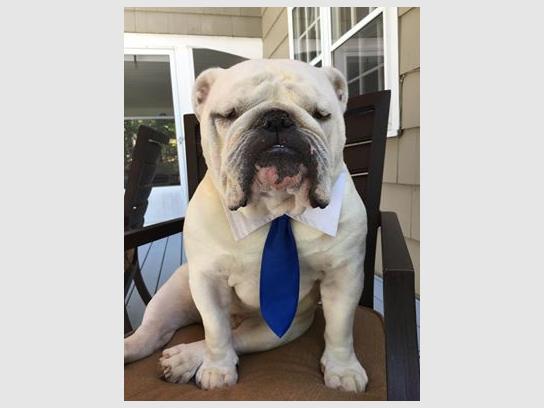 Mahwah Ford Service >> Mahwah Ford Sales Service Mahwah Nj 07430 Car Dealership And Mahwah Ford Service >> Mahwah Ford Sales Service Mahwah Nj 07430 Car Dealership And