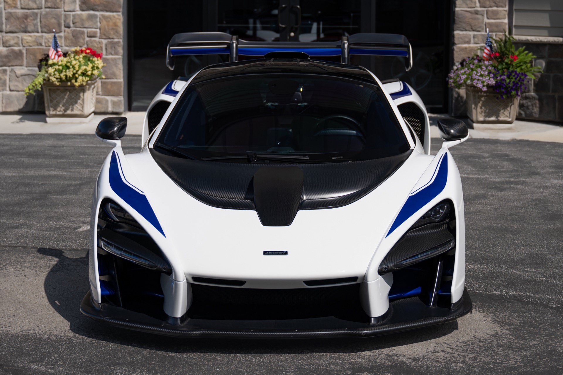Used 2019 McLaren Senna photo 21