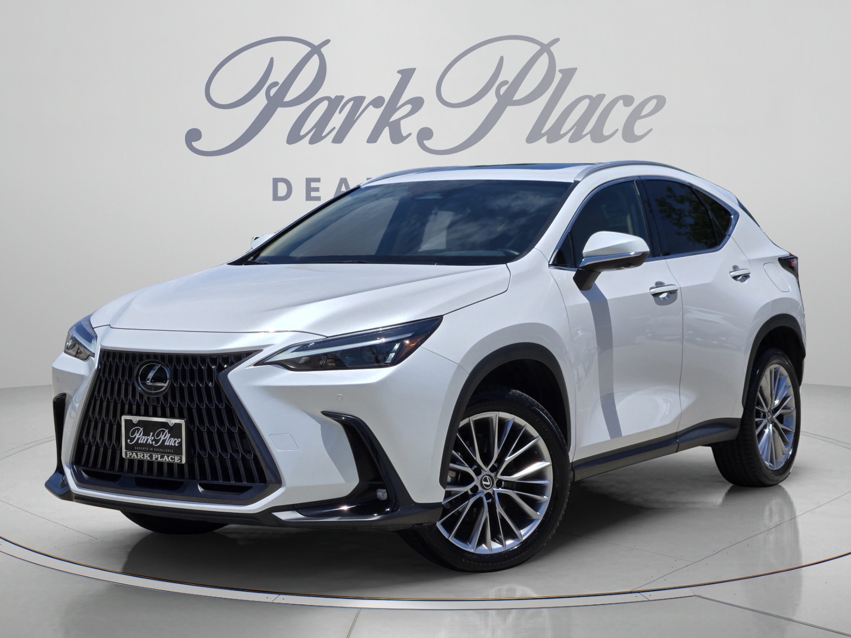 Used 2025 Lexus NX 350 AWD w/ Cold Area Package
