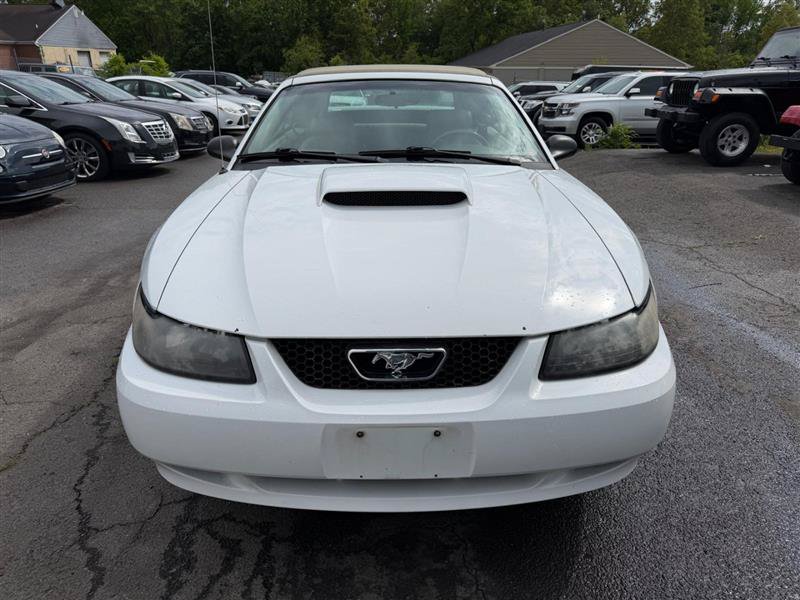 Used 2003 Ford Mustang Convertible