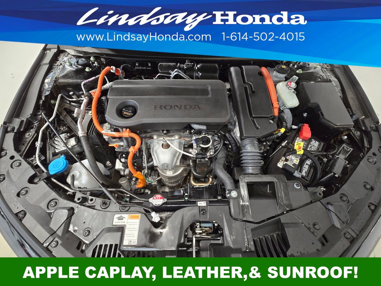 2025 Honda Accord Sport