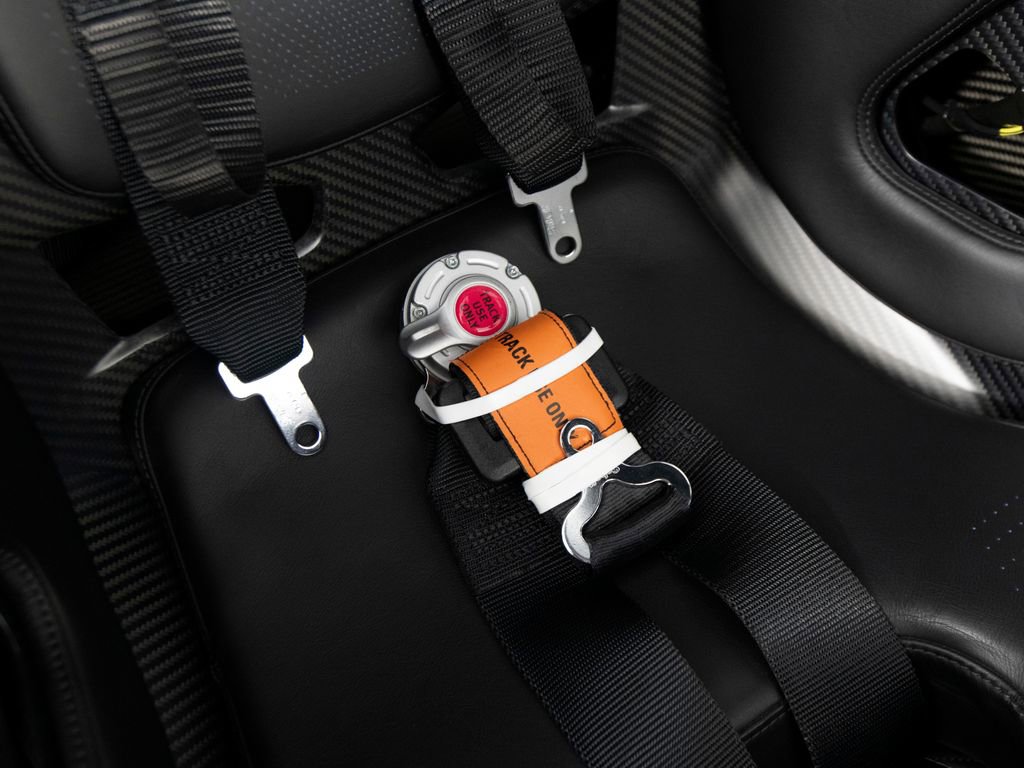 Used 2019 McLaren Senna photo 70