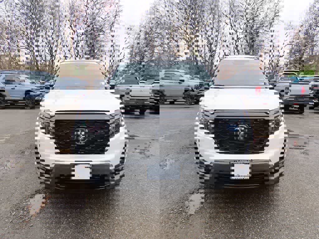 2023 Honda Passport Elite