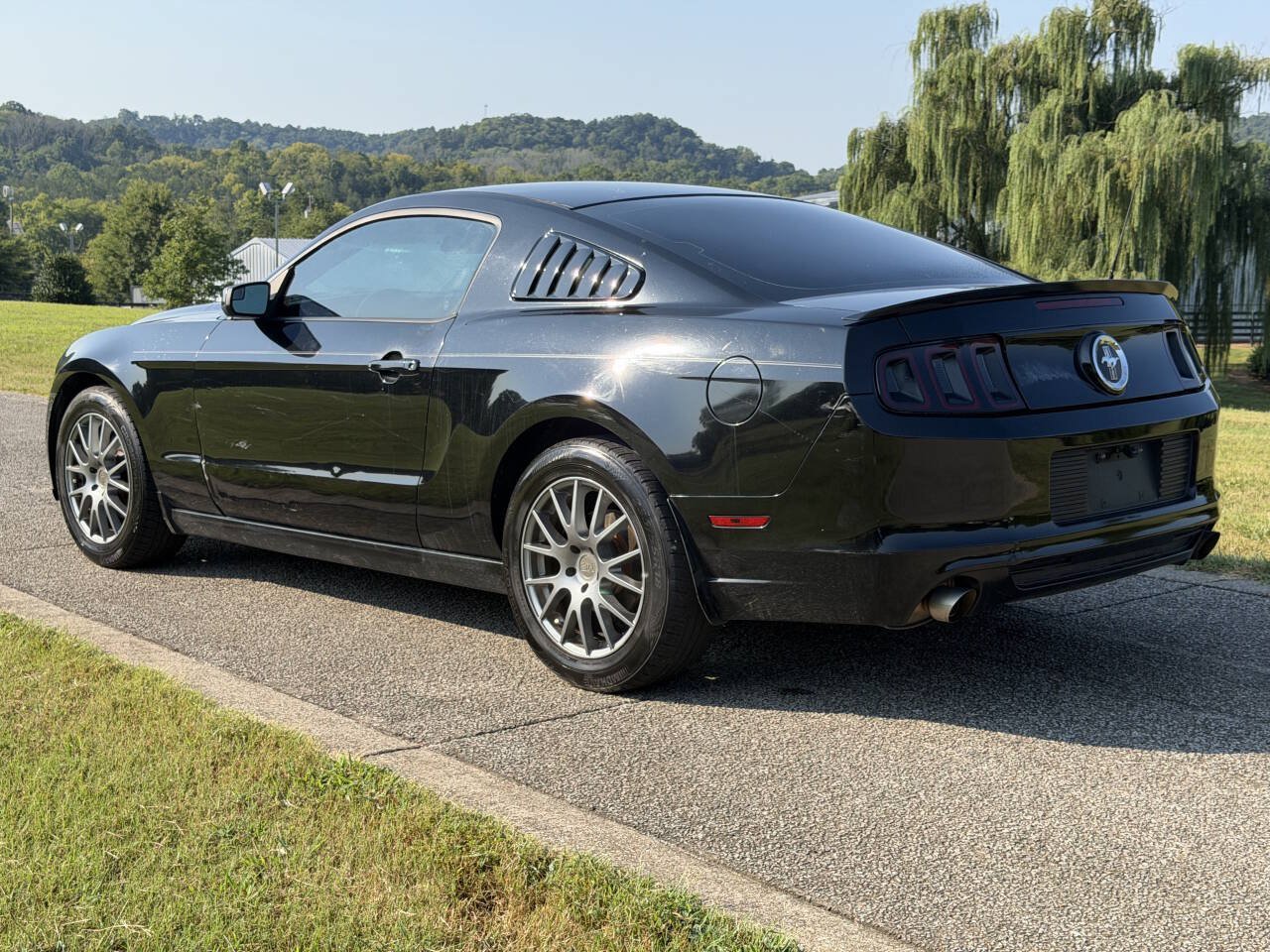 Photo 6