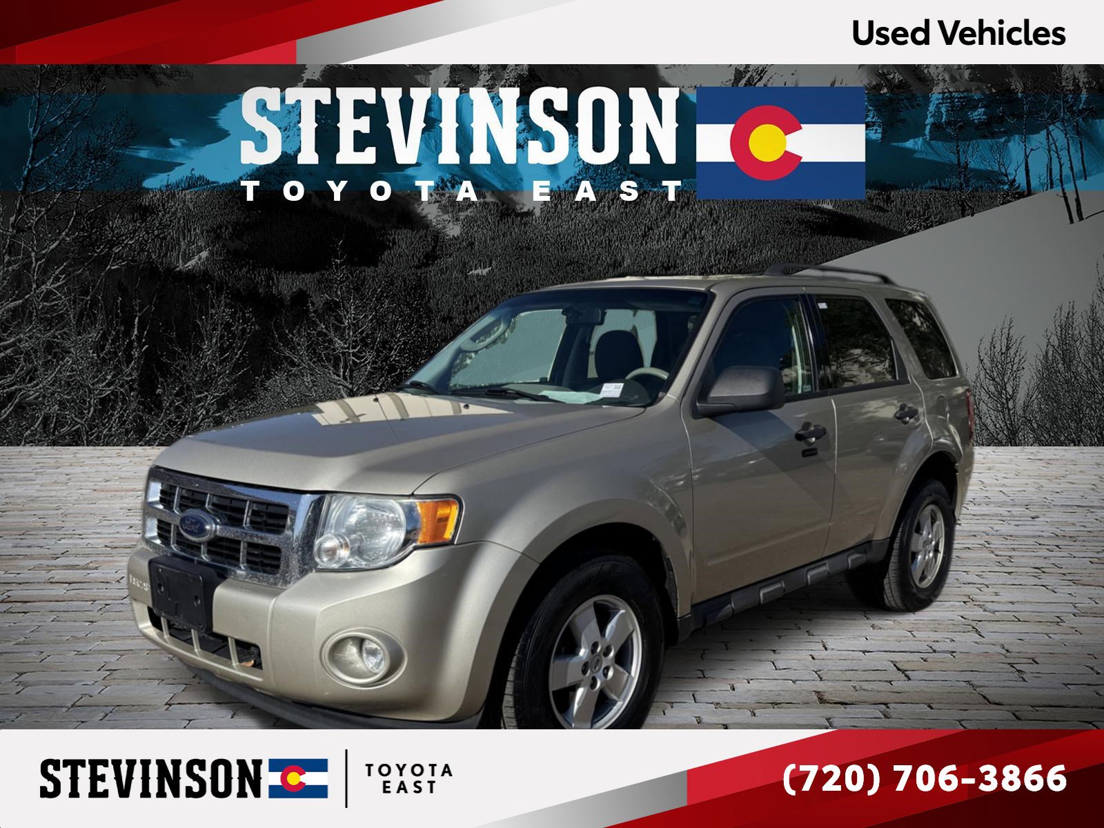 2010 Ford Escape XLT