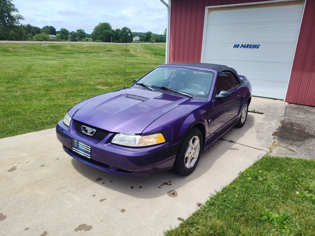 Used 2000 Ford Mustang Convertible
