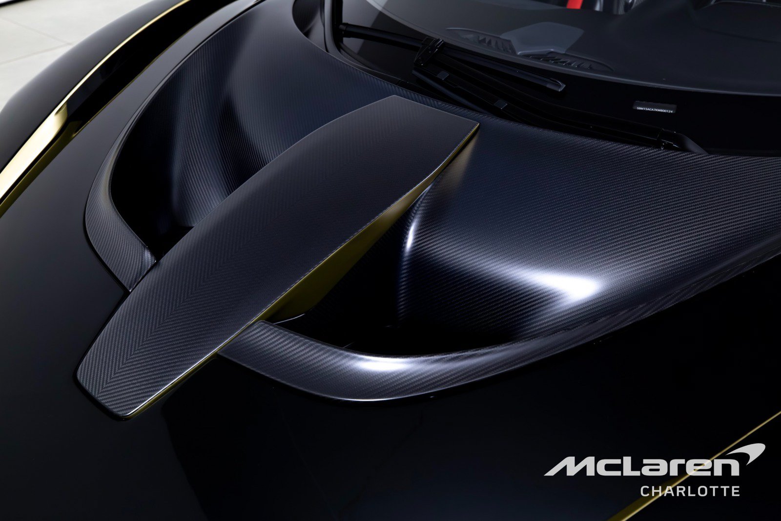 Used 2019 McLaren Senna photo 39