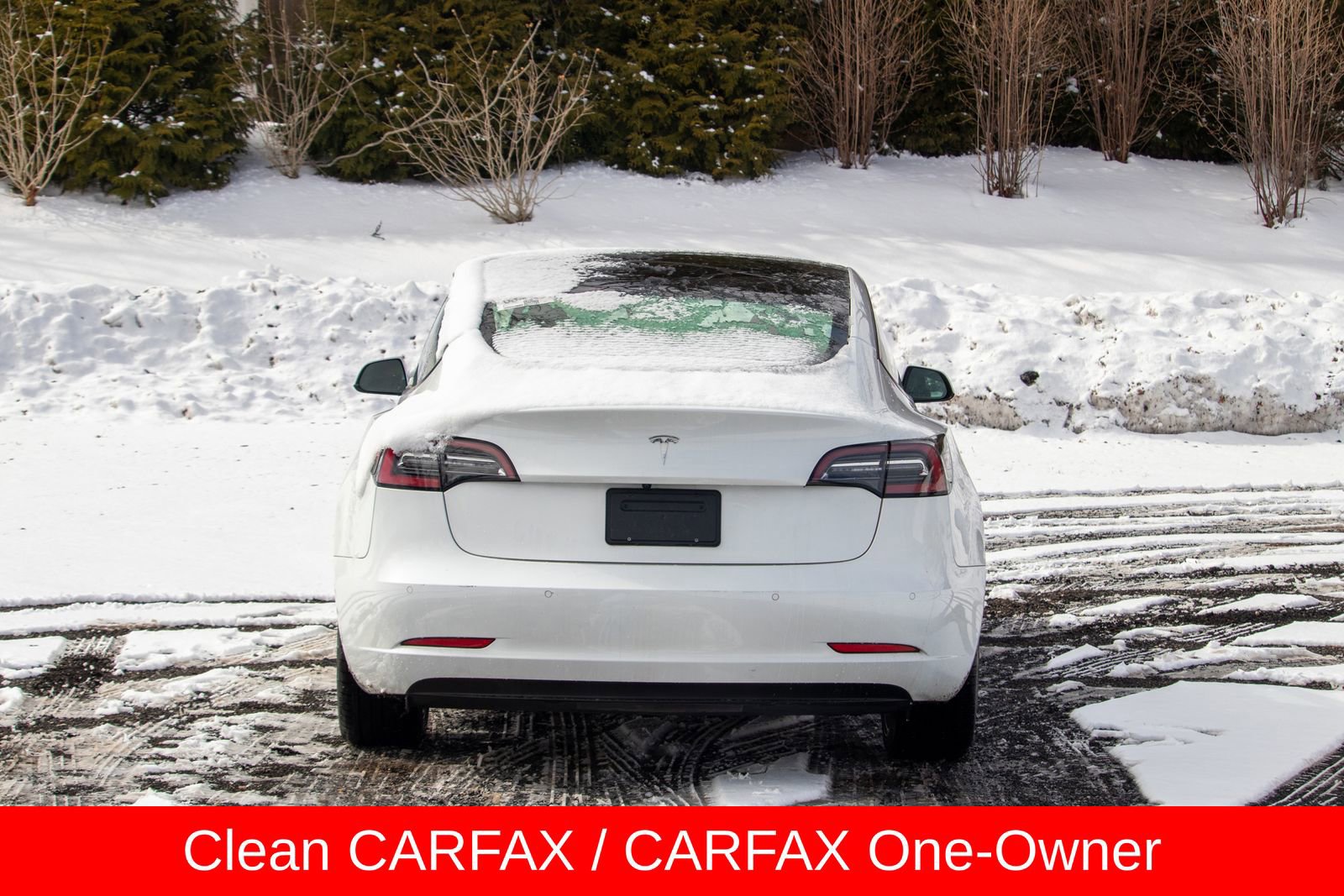 2022 Tesla Model 3 Standard Range