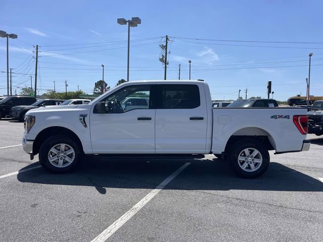 2023 Ford F150 XLT