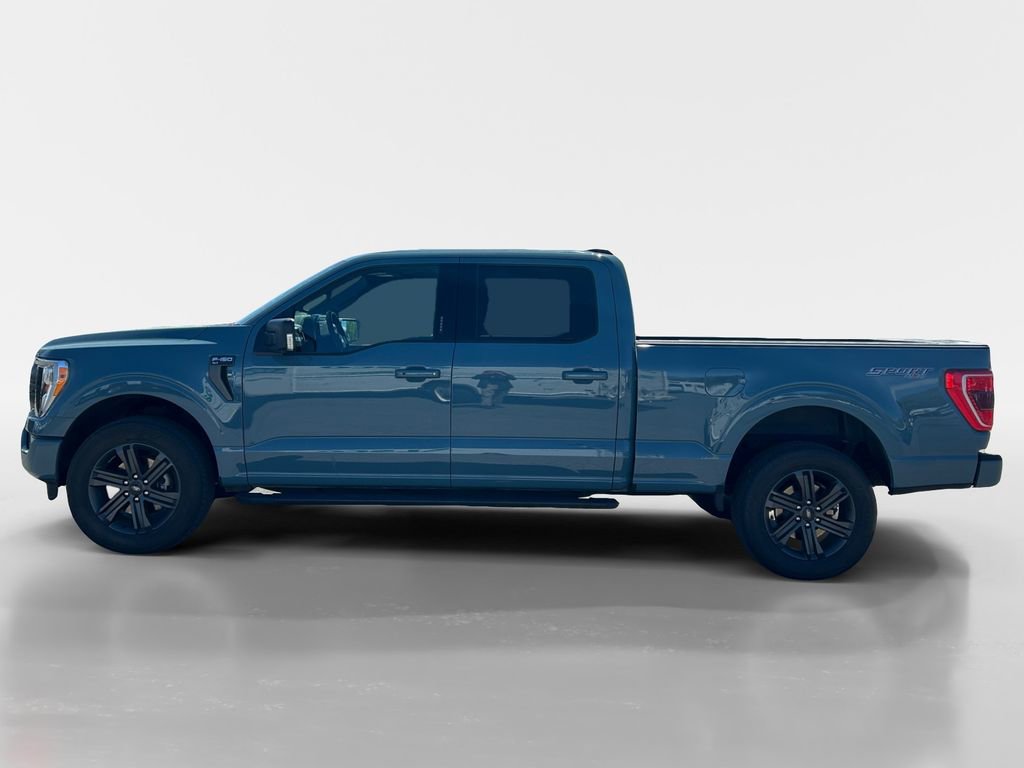 2023 Ford F150 XLT