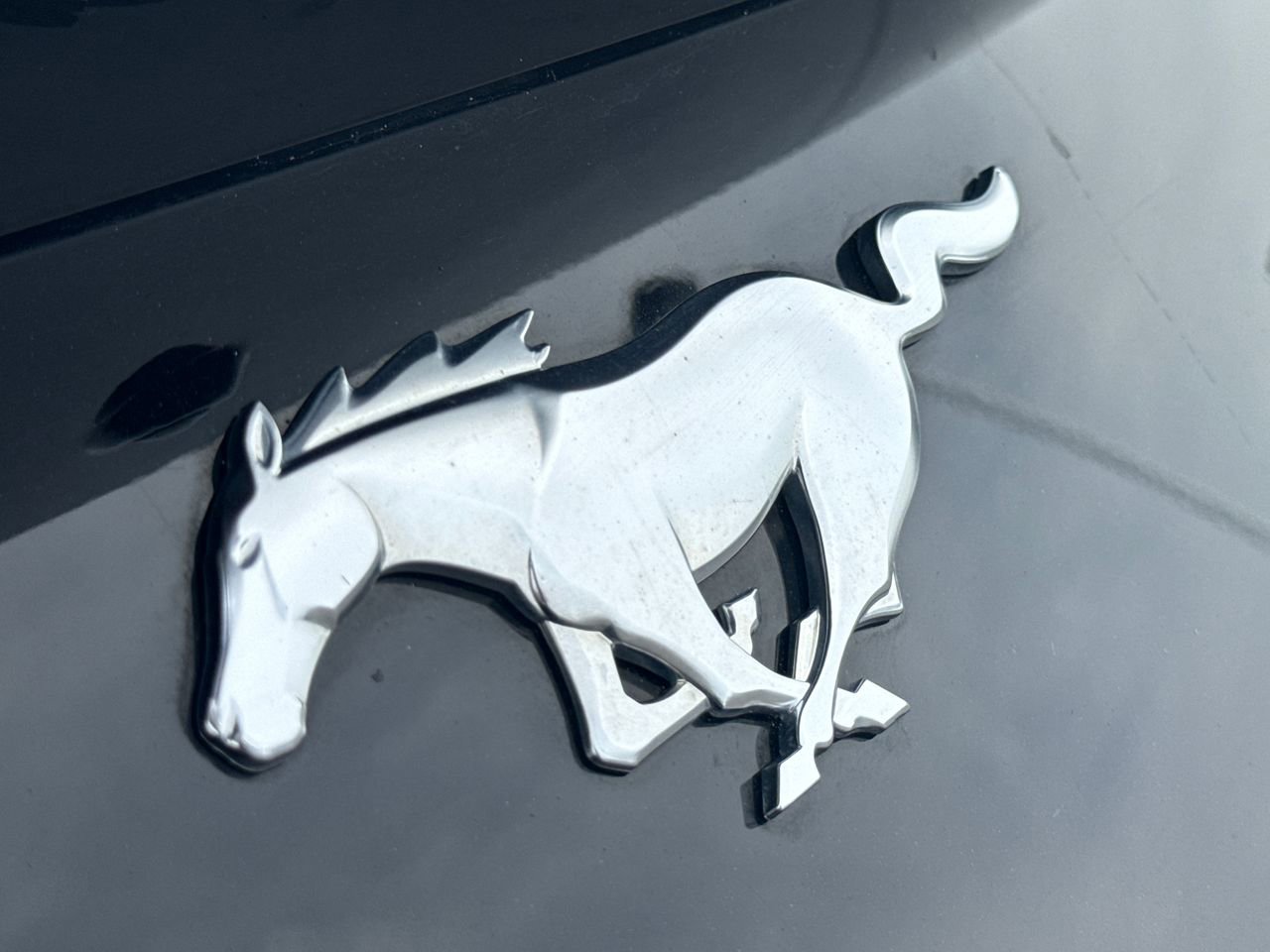 2024 Ford Mustang Premium