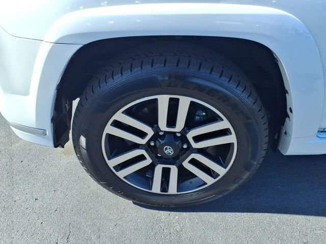 Photo 4