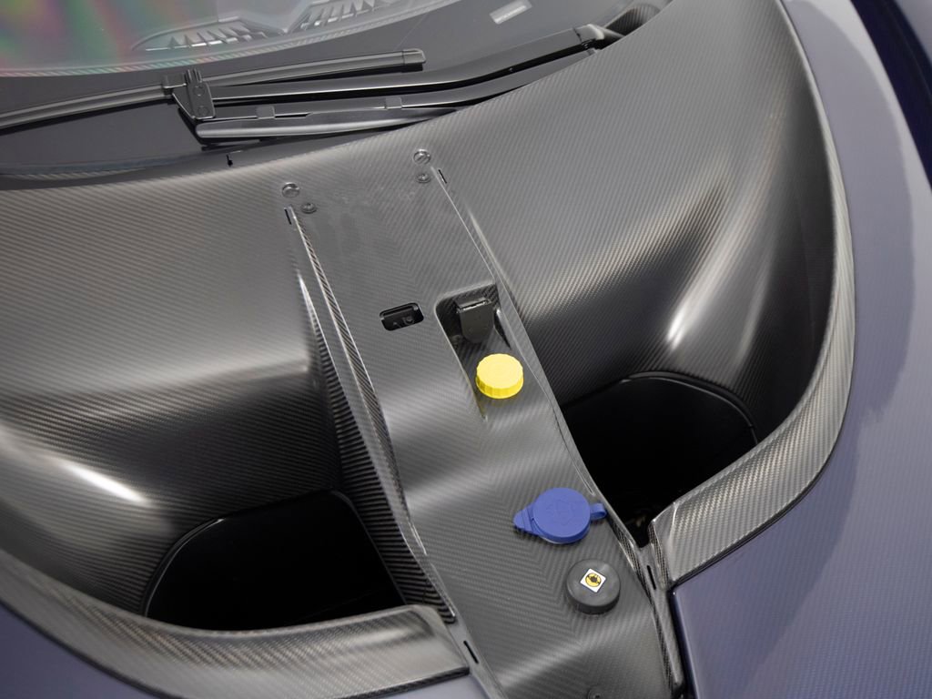 Used 2019 McLaren Senna photo 75