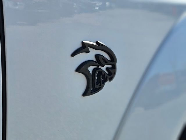 2023 Dodge Challenger SRT Hellcat