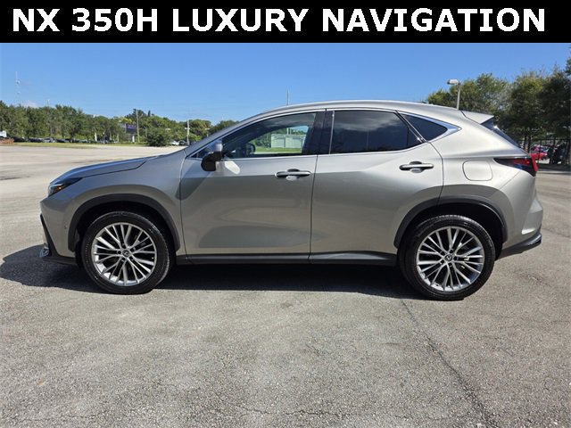 Used 2023 Lexus NX 300h for Sale Near Me - Autotrader