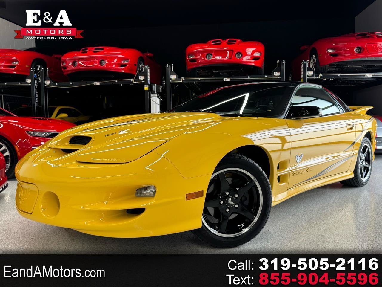 Used 2002 Pontiac Firebird Trans Am