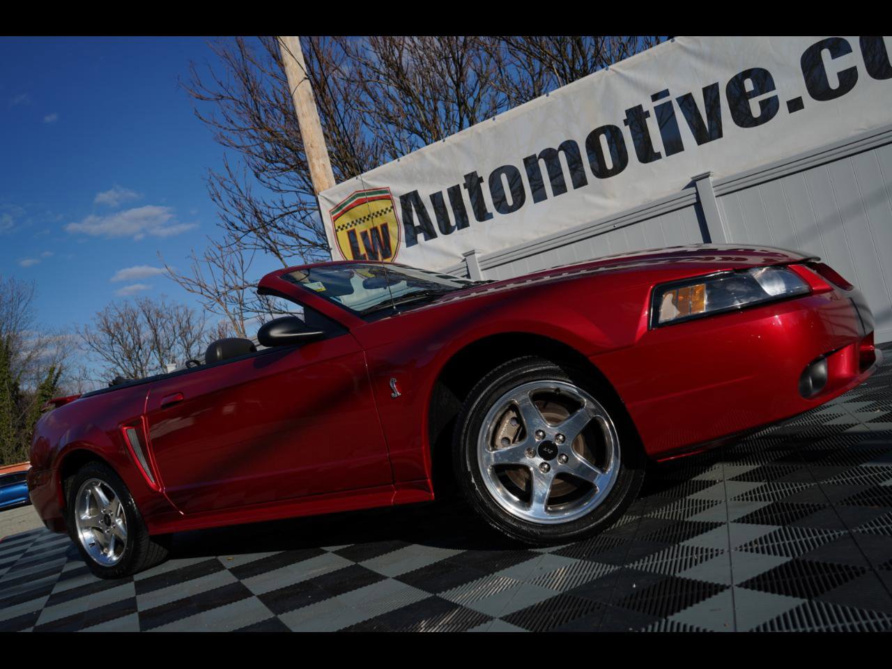 Used 2001 Ford Mustang Cobra
