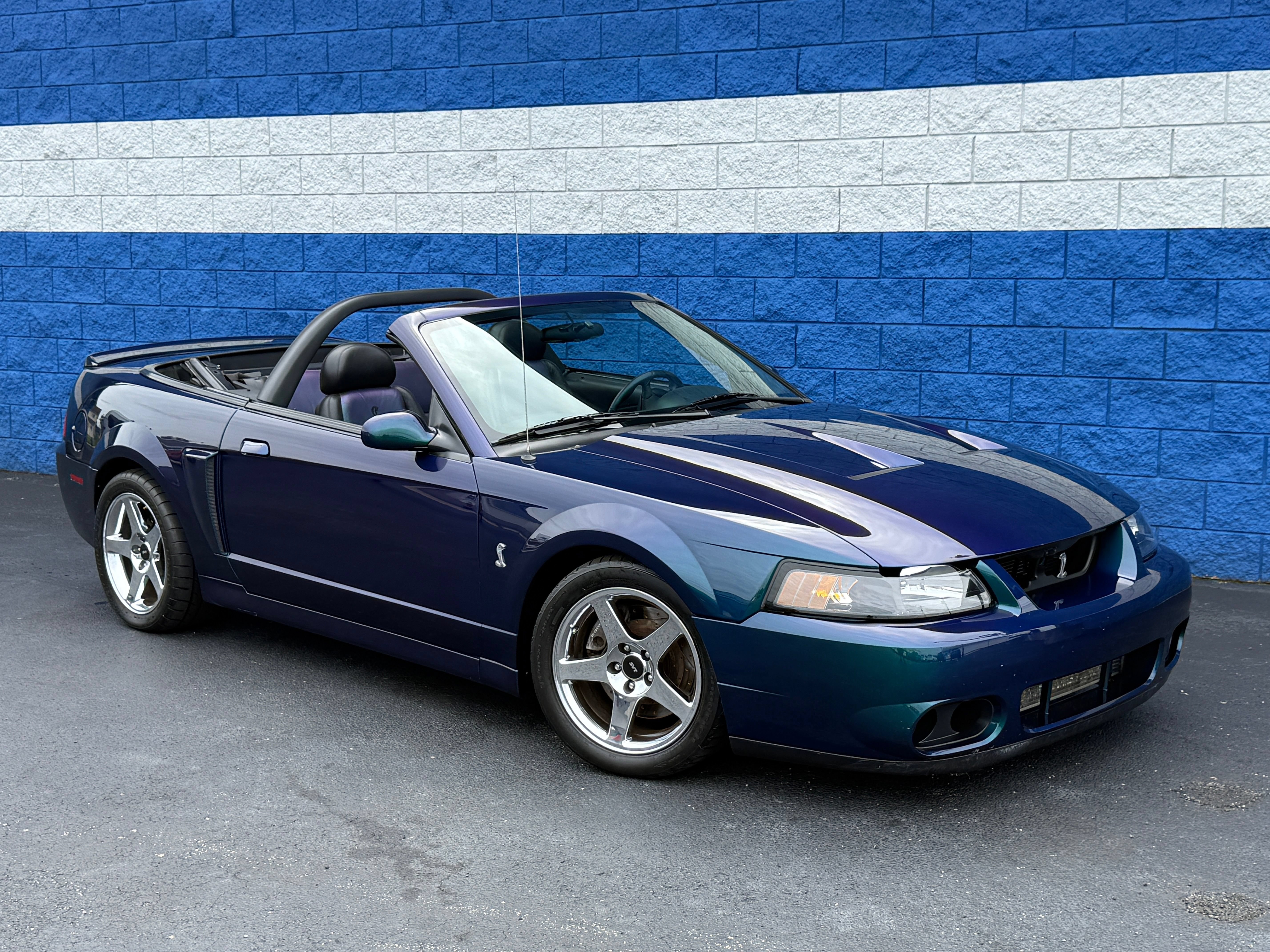 Used 2004 Ford Mustang Cobra