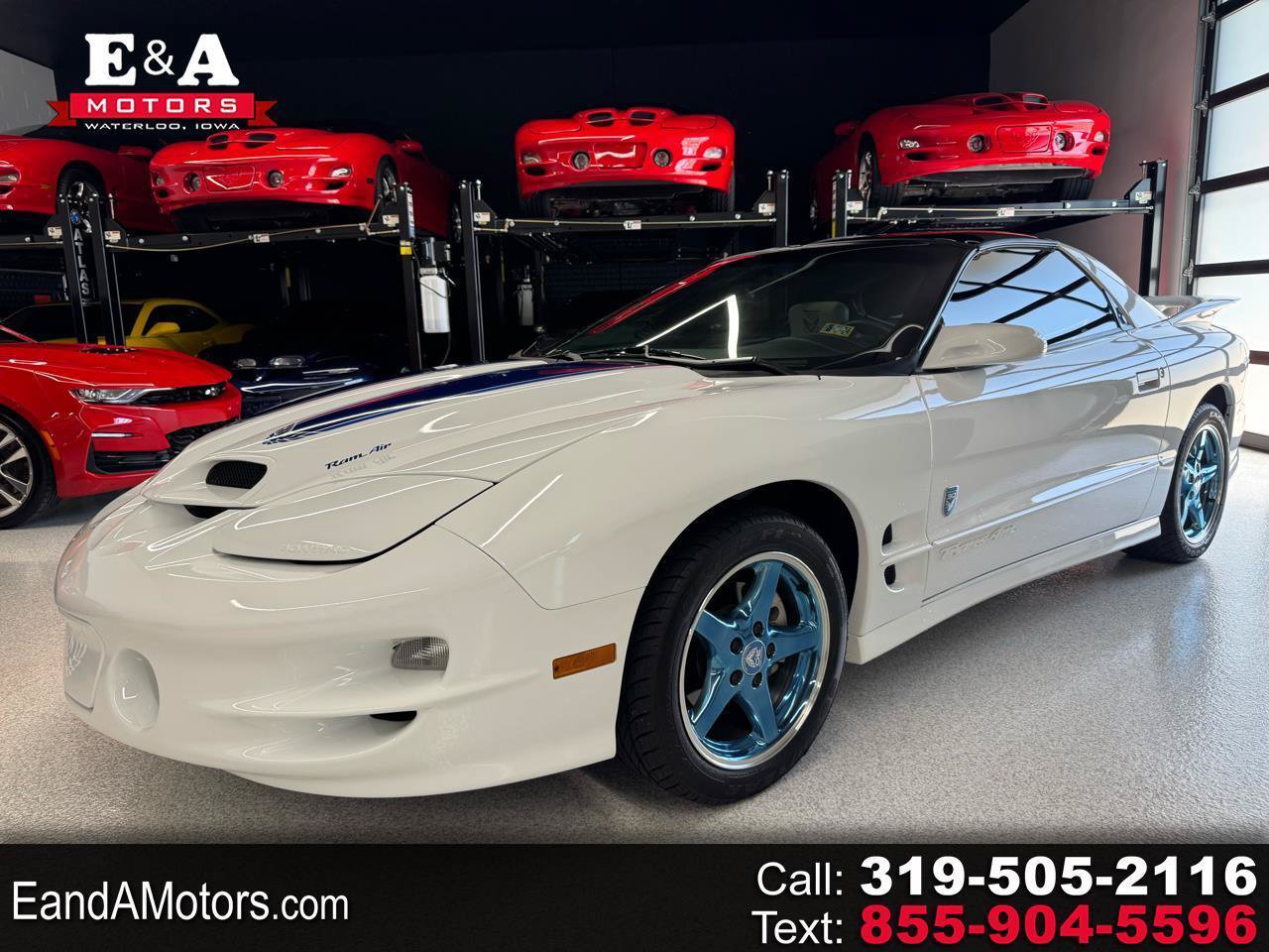 Used 1999 Pontiac Firebird Formula