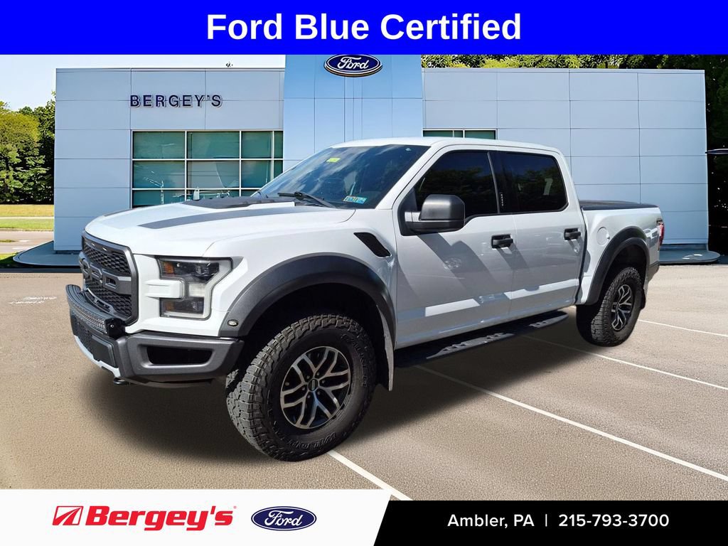 Used 2018 Ford F150 Raptor w/ Equipment Group 801A Mid