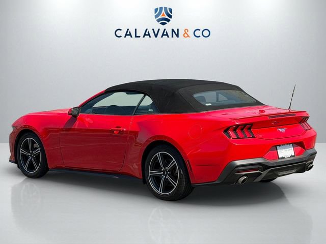 2024 Ford Mustang Premium