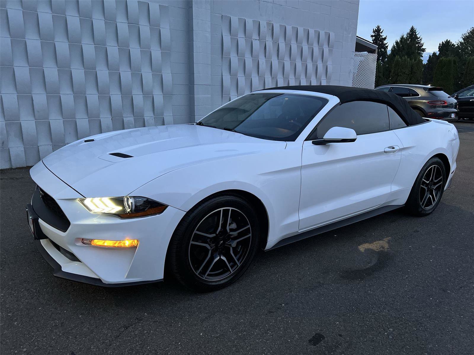 2019 Ford Mustang Premium