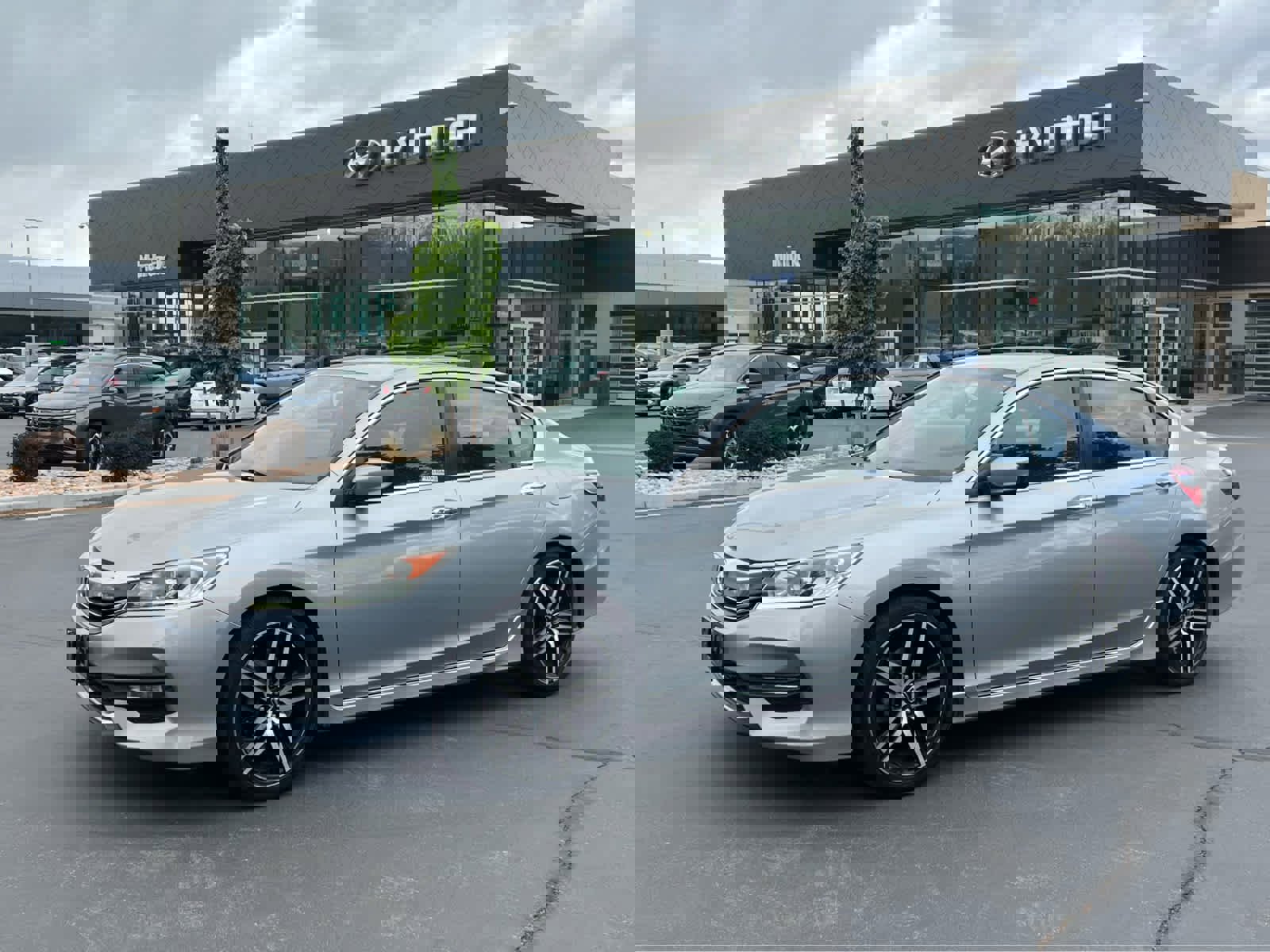 2017 Honda Accord Sport Special Edition