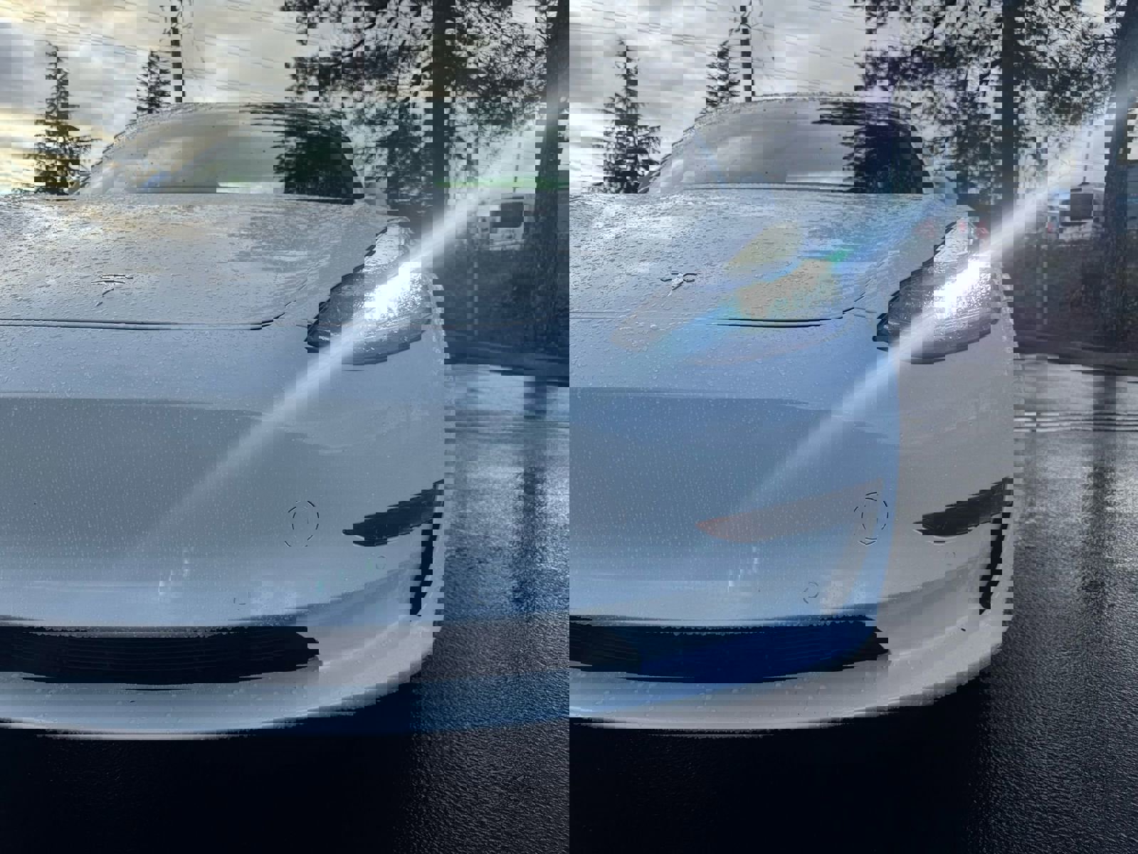 2020 Tesla Model 3 Standard Range Plus