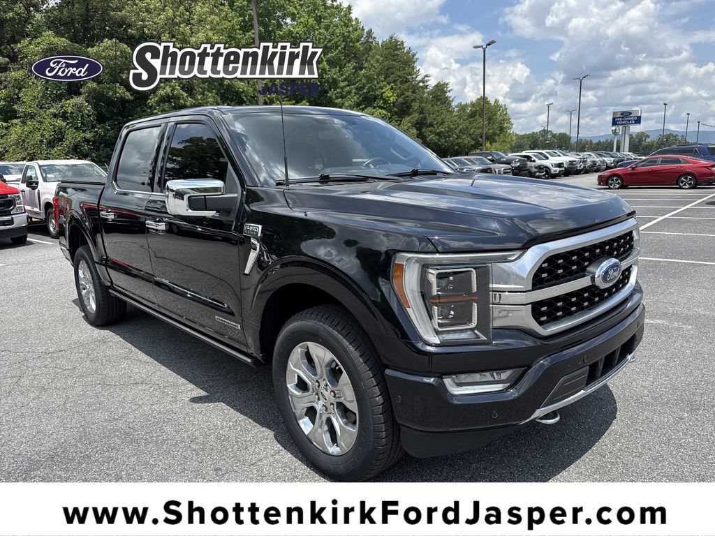 Used 2022 Ford F150 Platinum w/ Equipment Group 701A High