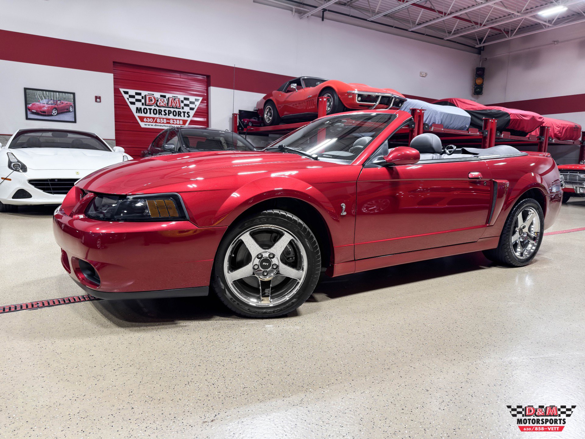 Used 2003 Ford Mustang SVT Cobra Convertible