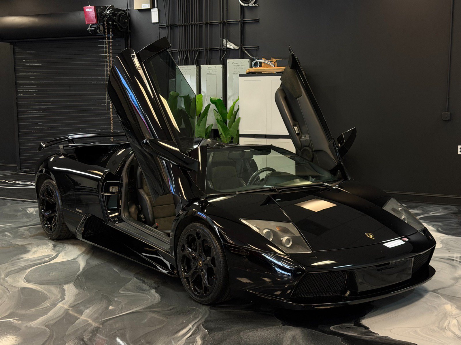 Used 2006 Lamborghini Murcielago Roadster