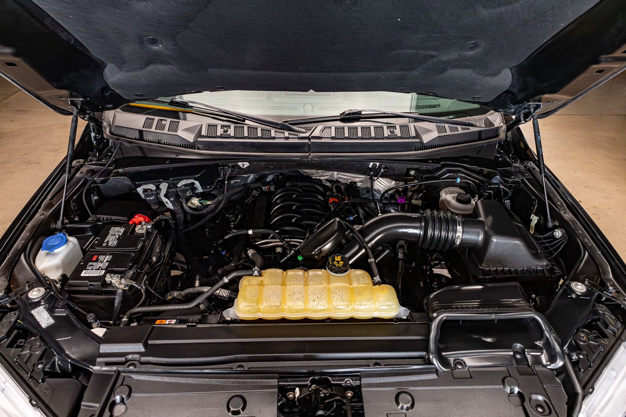 2019 Ford F150 Platinum