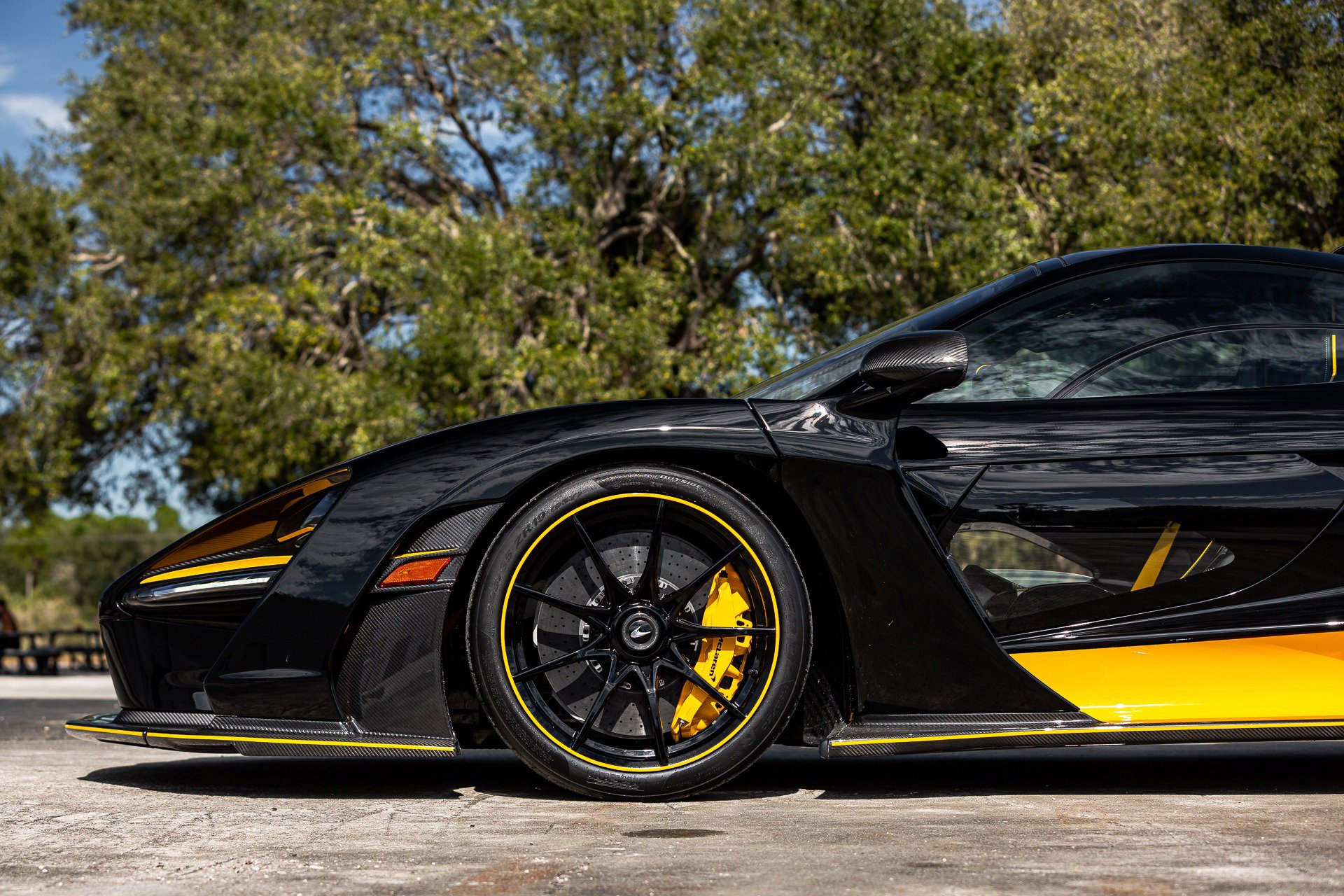 Used 2019 McLaren Senna photo 62