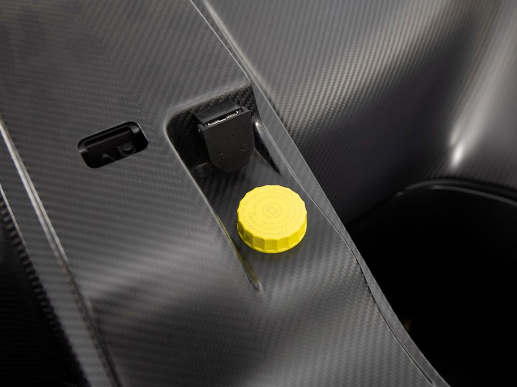 Used 2019 McLaren Senna photo 76