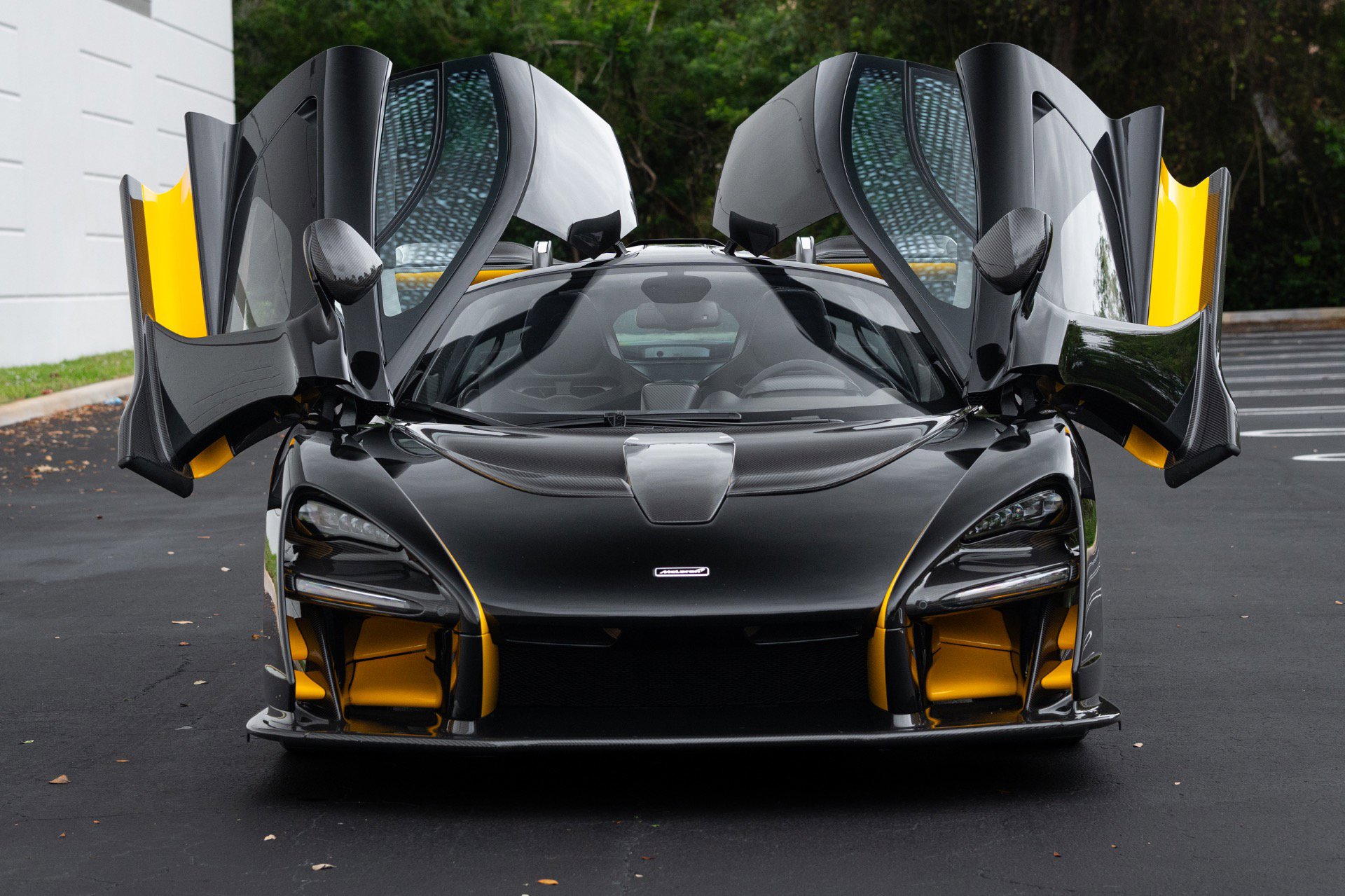 Used 2019 McLaren Senna photo 42