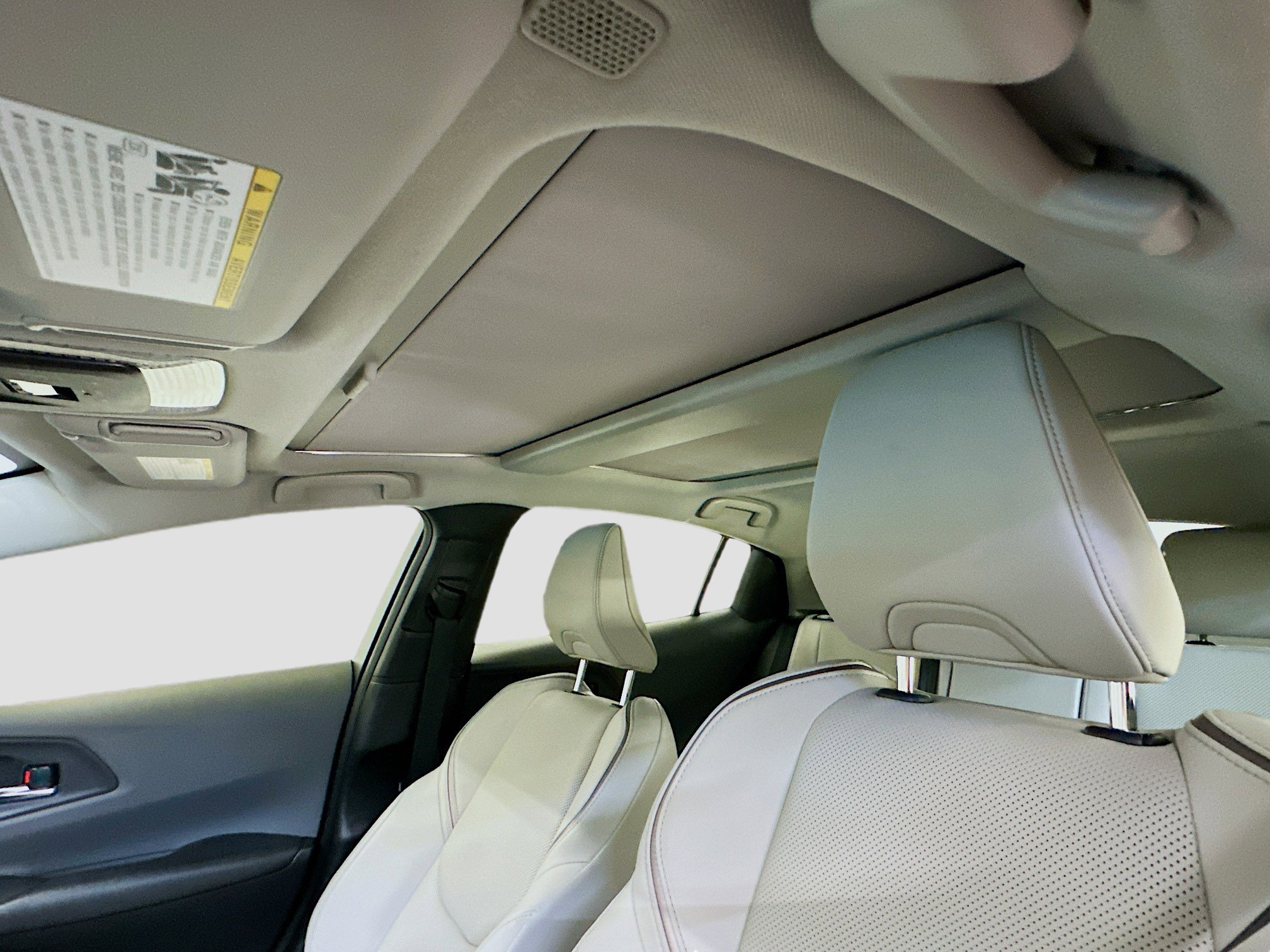 2023 Toyota Prius XLE