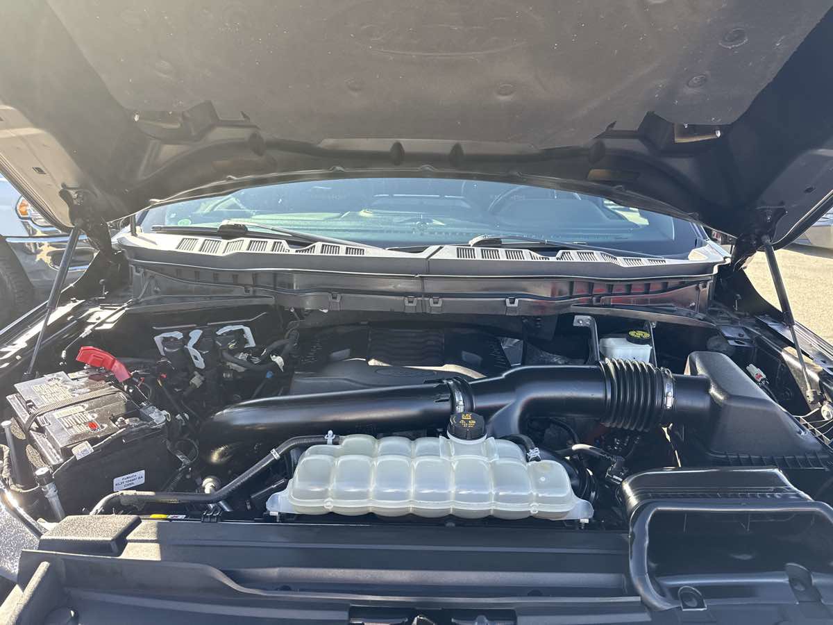 2021 Ford F150 Tremor