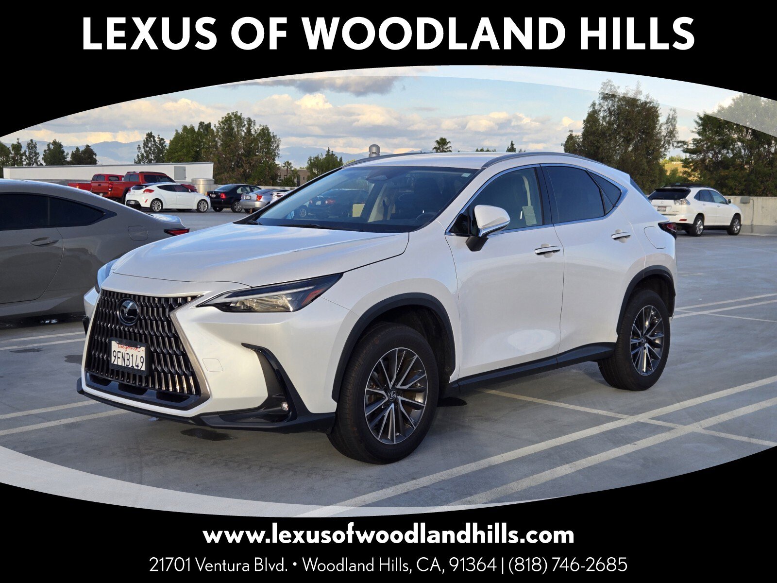 2023 Lexus NX 250 Base