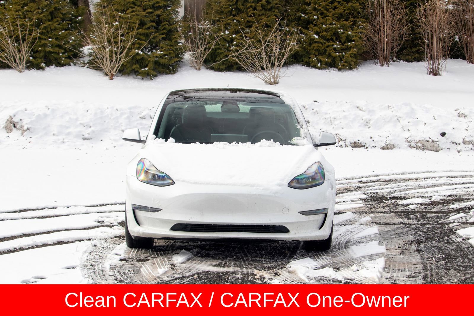 2022 Tesla Model 3 Standard Range