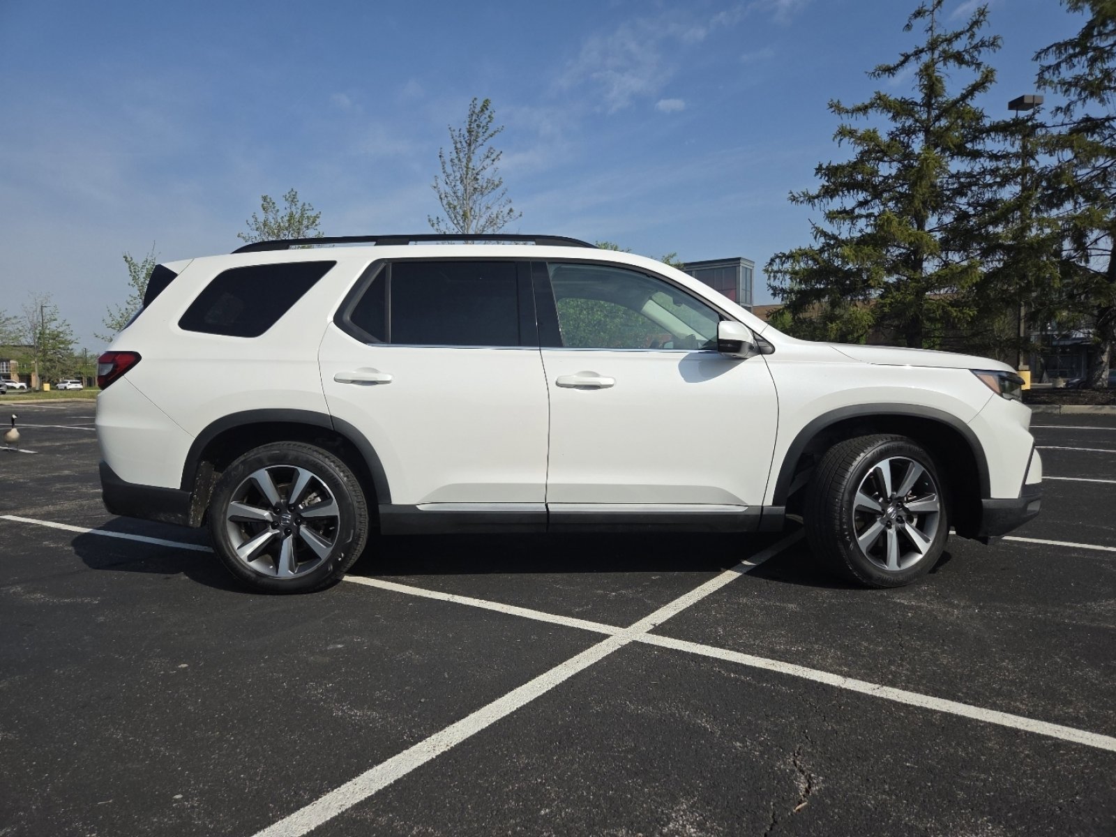 2024 Honda Pilot Elite