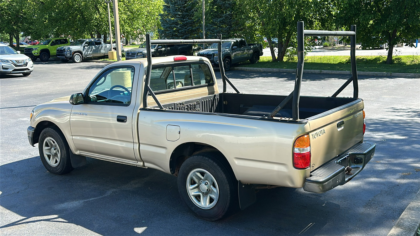 Photo 8
