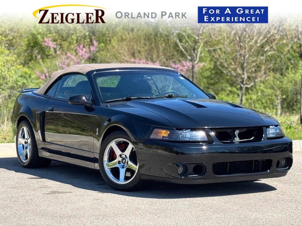 Used 2003 Ford Mustang Cobra