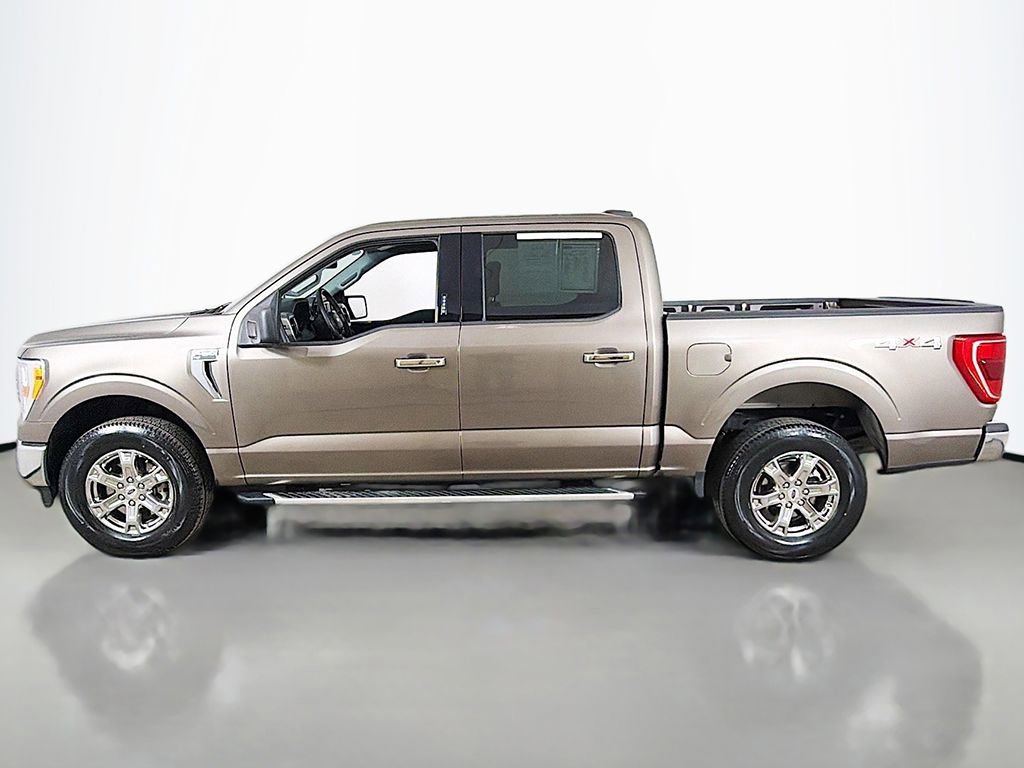 2023 Ford F150 XLT