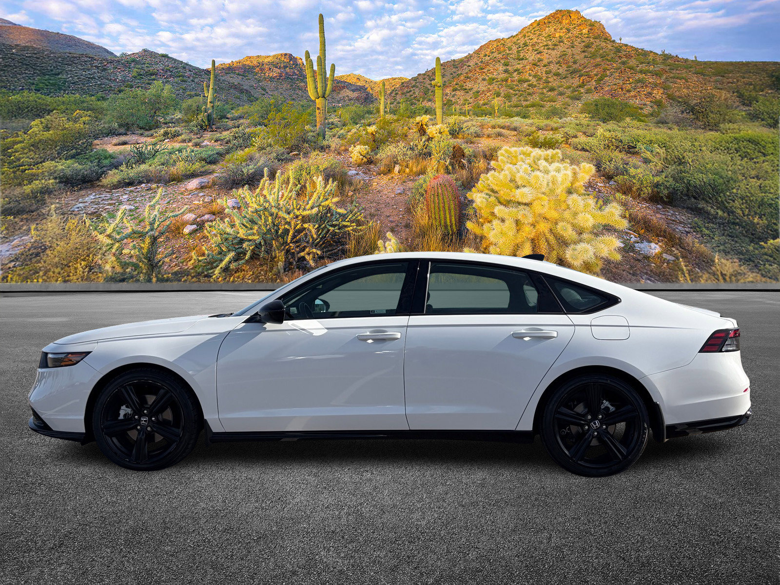 2023 Honda Accord Sport