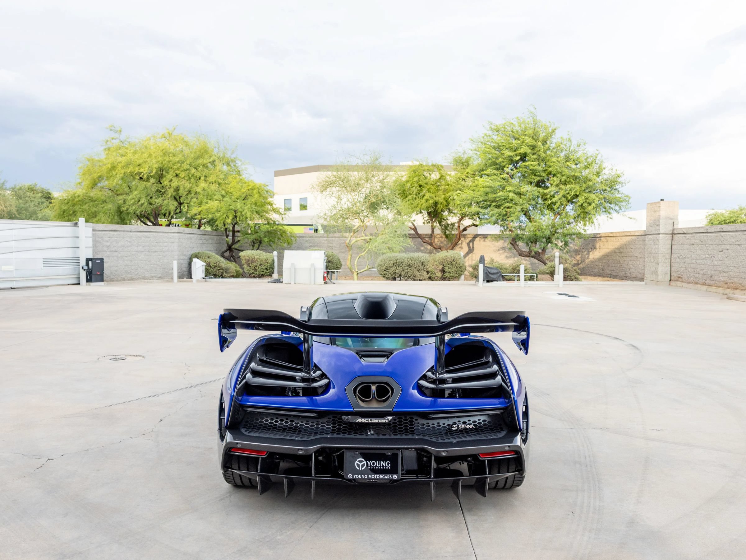 Used 2019 McLaren Senna photo 26