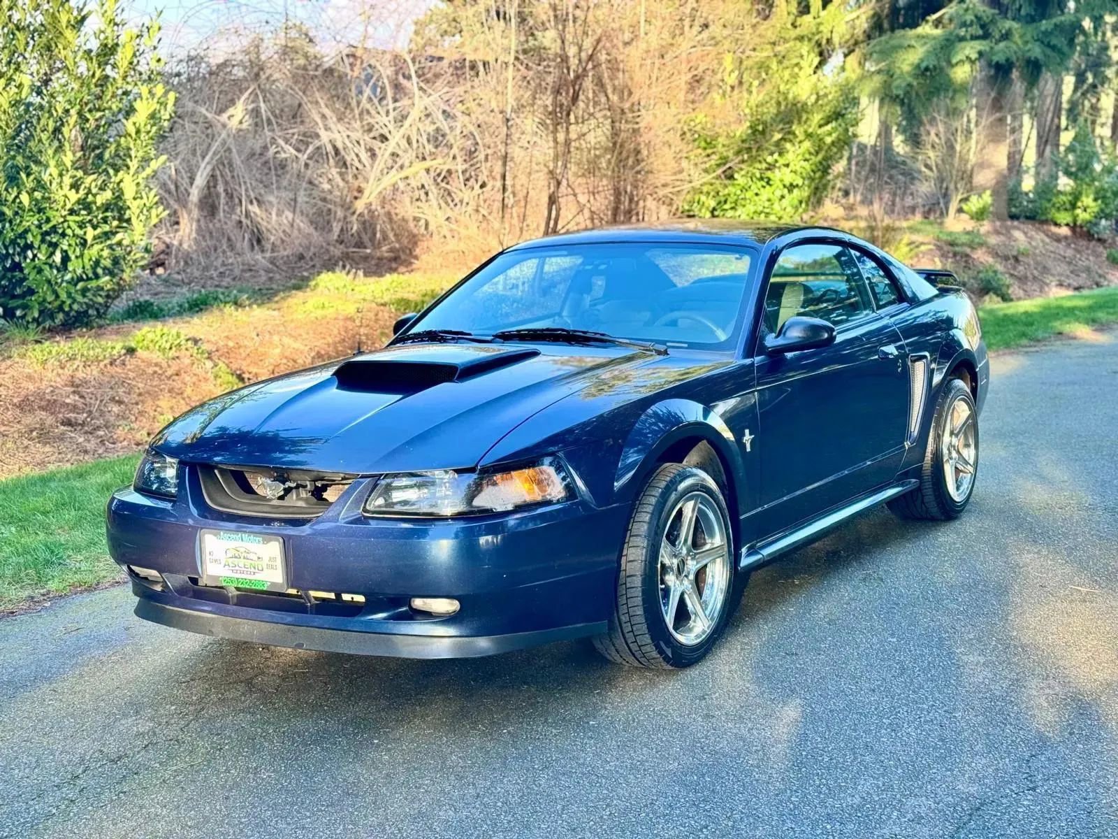 Used 2002 Ford Mustang Coupe