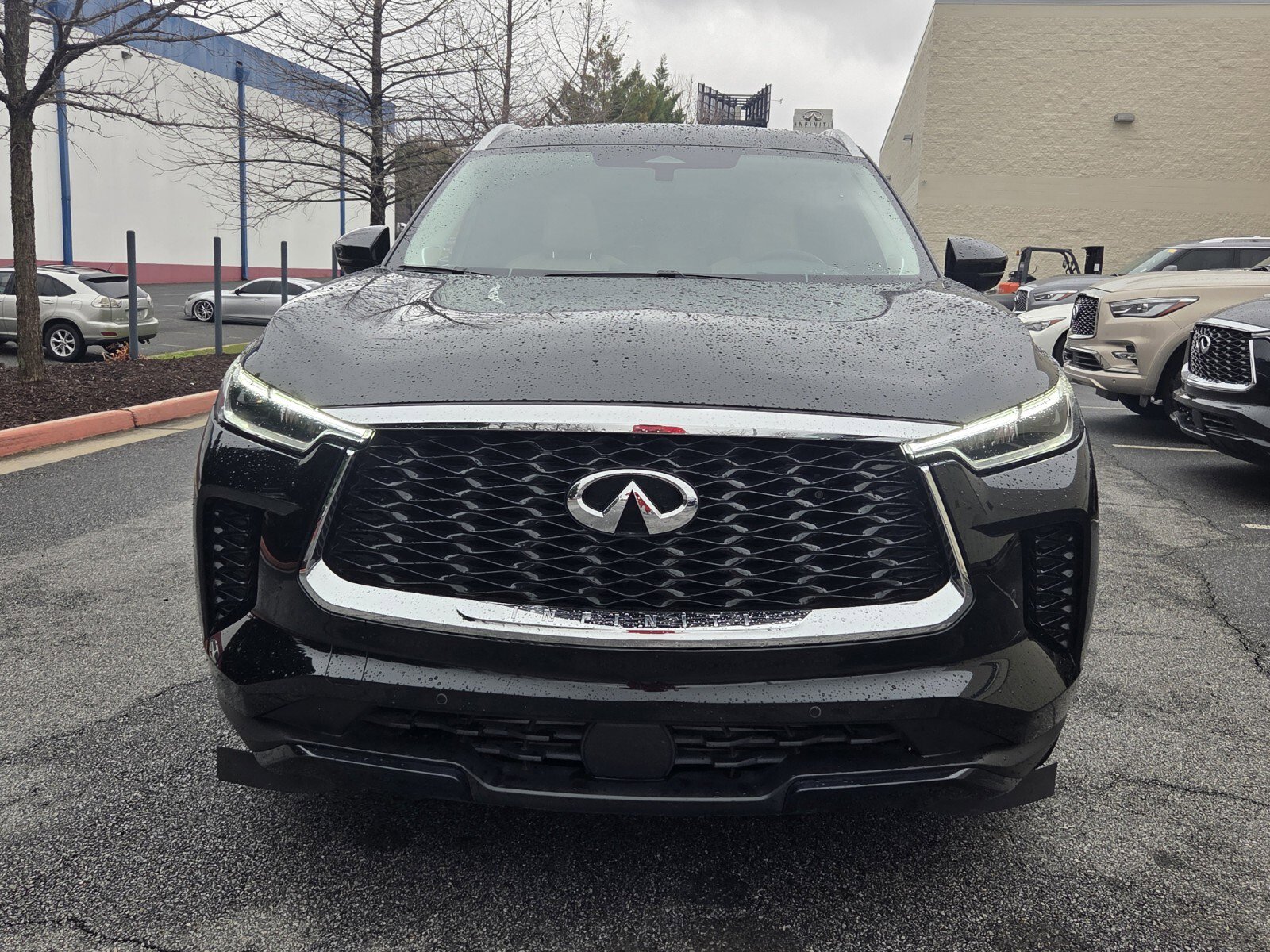 2025 INFINITI Qx60 Luxe