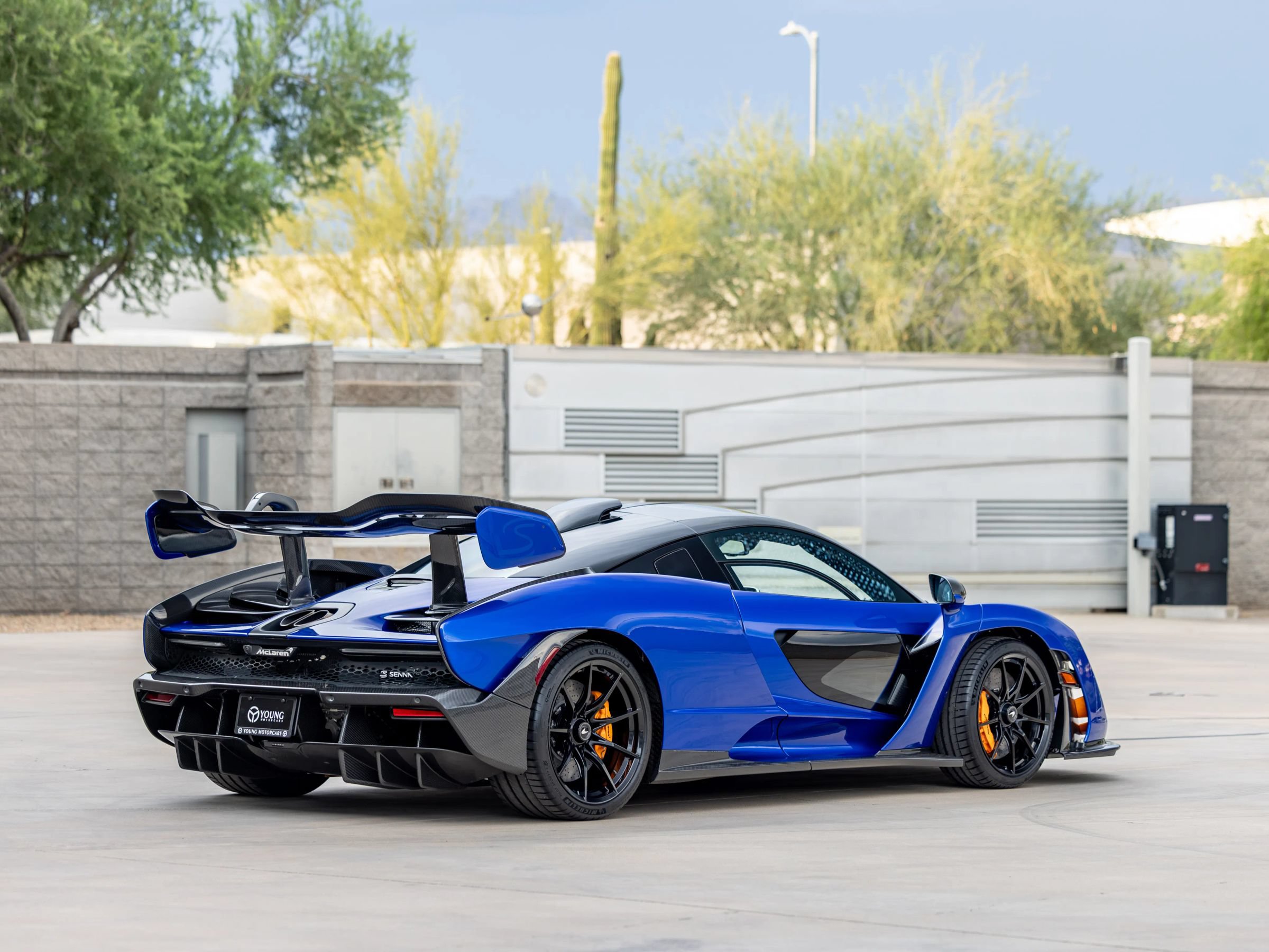 Used 2019 McLaren Senna photo 8